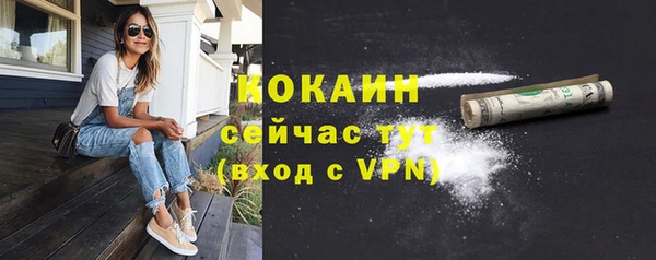 ГАЛЛЮЦИНОГЕННЫЕ ГРИБЫ Краснослободск