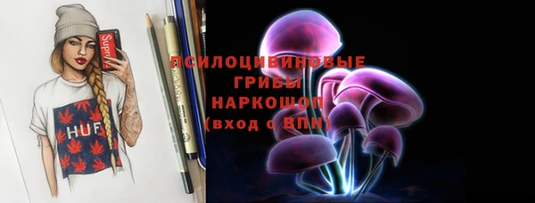 ГАЛЛЮЦИНОГЕННЫЕ ГРИБЫ Краснослободск