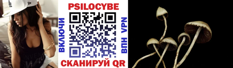 Псилоцибиновые грибы Psilocybe Окуловка